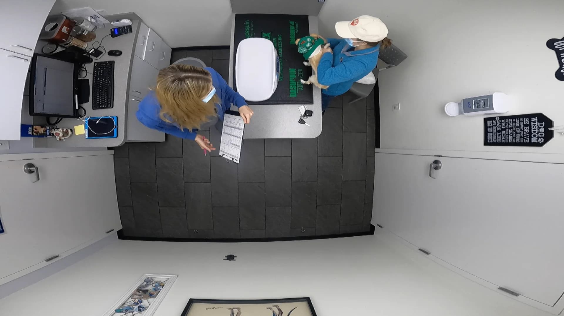 Veterinary clinic treatment room